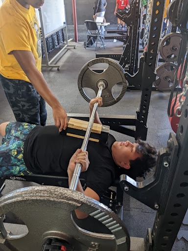 Board 2024 bench press