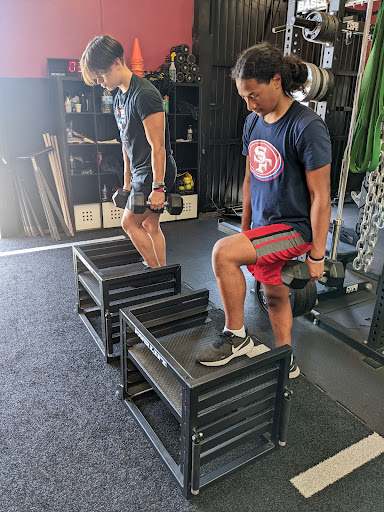 Single leg discount squat on box